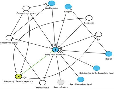 Spatial Distribution and Factors Associated With Risky Health Behavior Among Adult Males Aged 15–59 Years in Ethiopia: Generalized Structural Equation Modeling